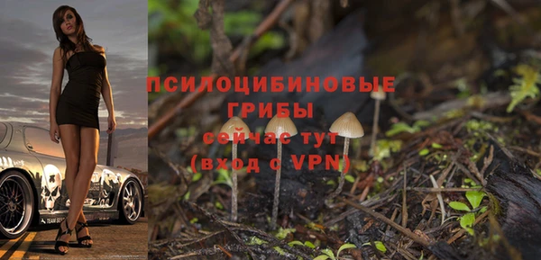 скорость mdpv Белокуриха