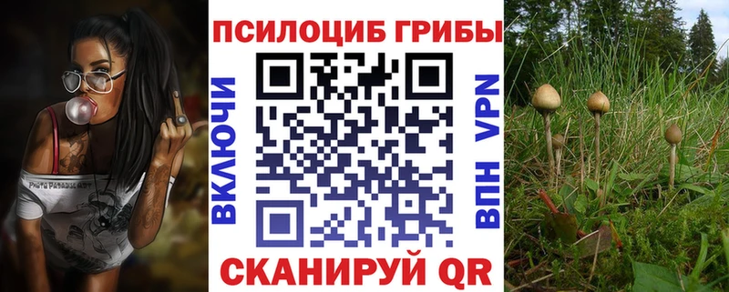 Псилоцибиновые грибы Psilocybe  omg маркетплейс  Сковородино 